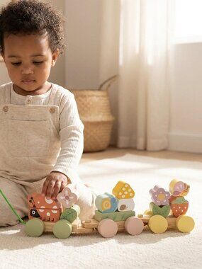 Montessori Wooden Pull Along Animal Train Toy for Toddlers New